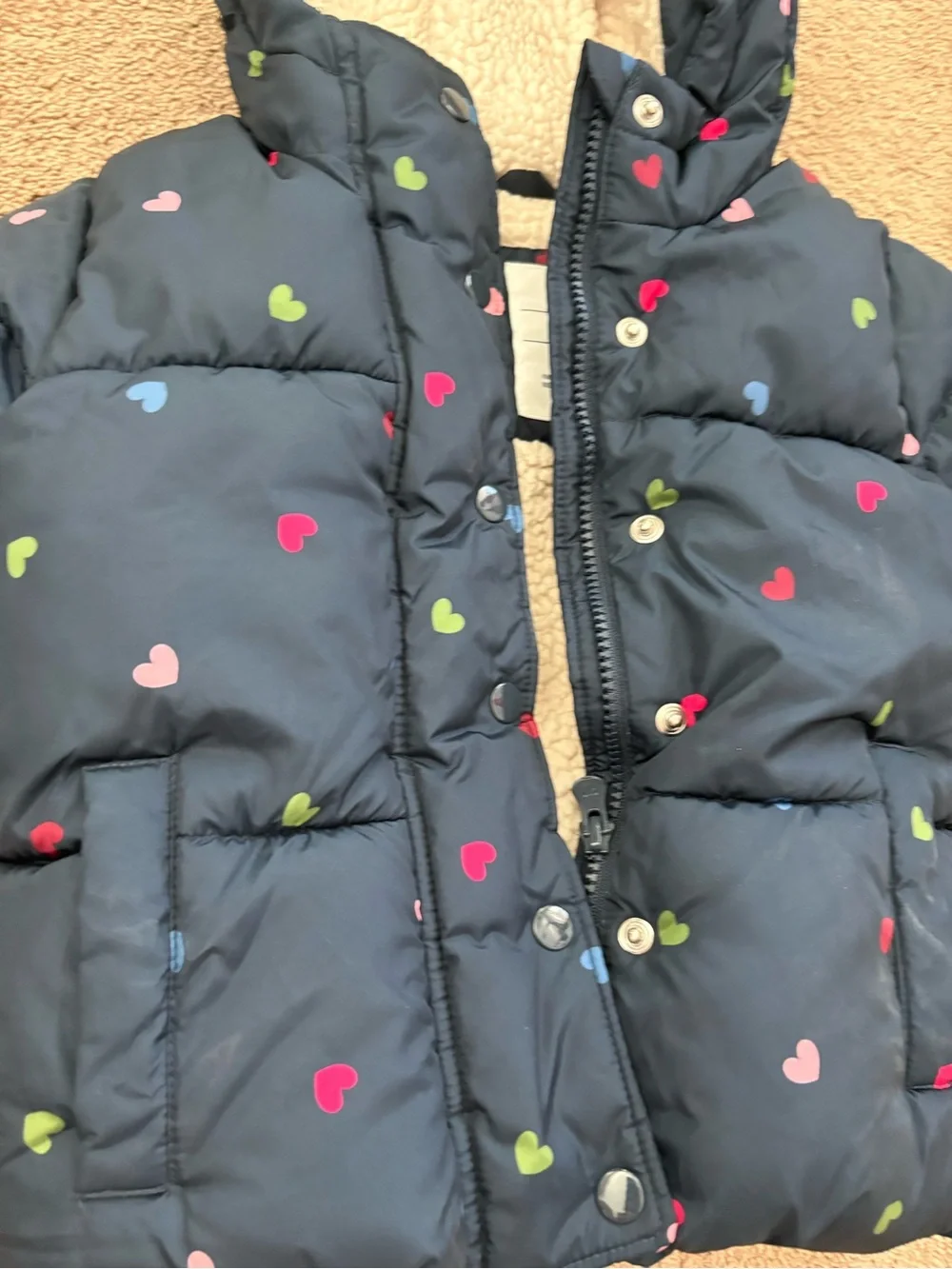 GAP Baby Navy and Cream Sherpa-Lined Jacket